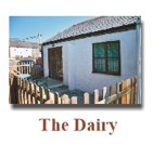 dairy