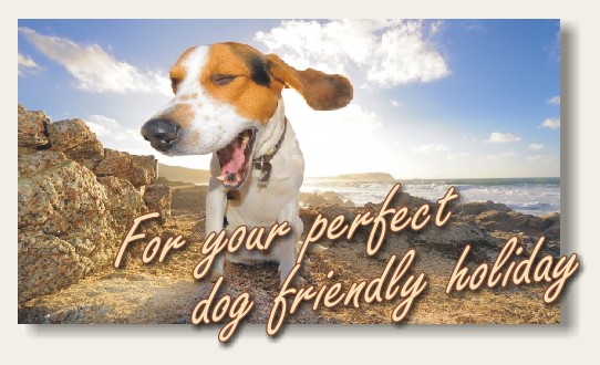 for your perfect dog friendly holiday