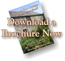 download a brochure
